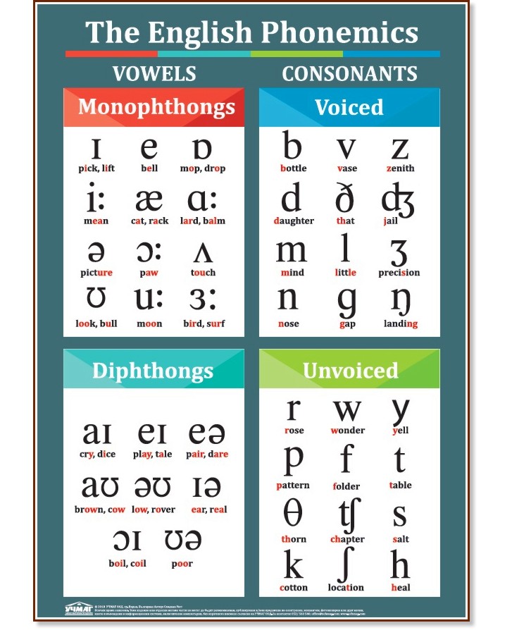   : The English Phonemics - 50 x 70  70 x 100 cm - 