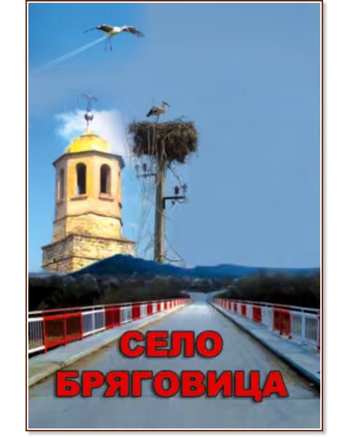 Село Бряговица Село Бряговица - Пламен Григоров - книга