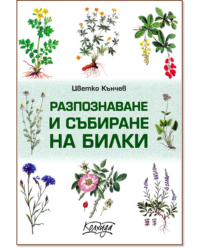 Разпознаване и събиране на билки - Цветко Кънчев - книга