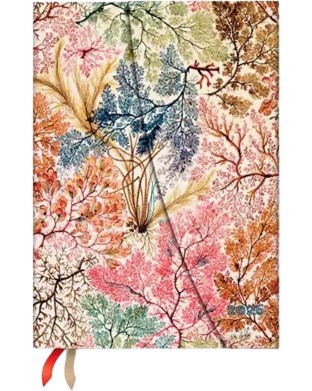 - Paperblanks Anemone 2026 - 13 x 18 cm   William Kilburn - 