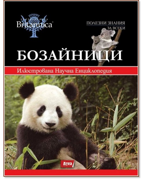 ������������ Britannica - ��� 5: ����������� - �����