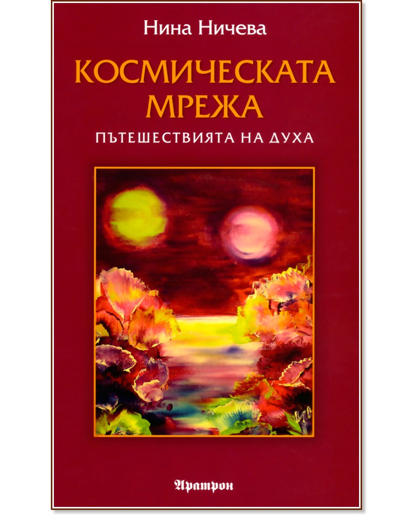 Космическата мрежа - Нина Ничева - книга