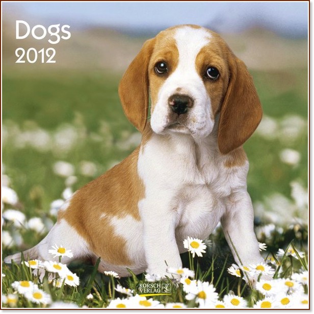 ������ �������� - Dogs 2012 - ��������