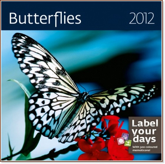 ������ �������� - Butterflies 2012 - ��������