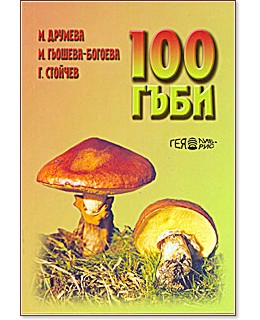 100 ���� - �. �������, �. ������� - �������, �. ������� - �����