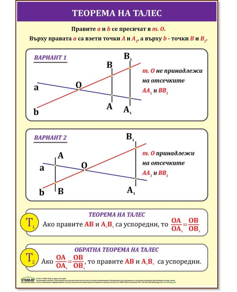   :    - 70 x 100 cm - 
