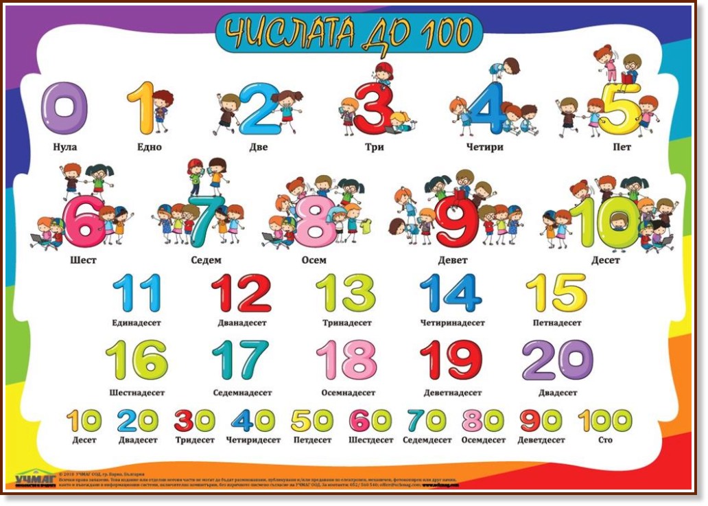   :   100 - 100 x 70 cm - 