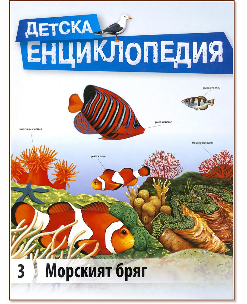 Детска енциклопедия: Морският бряг - книга