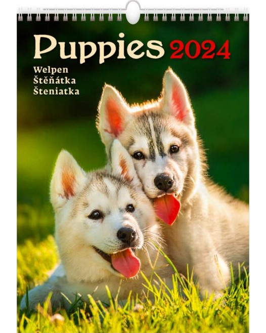   - Puppies 2024 - 