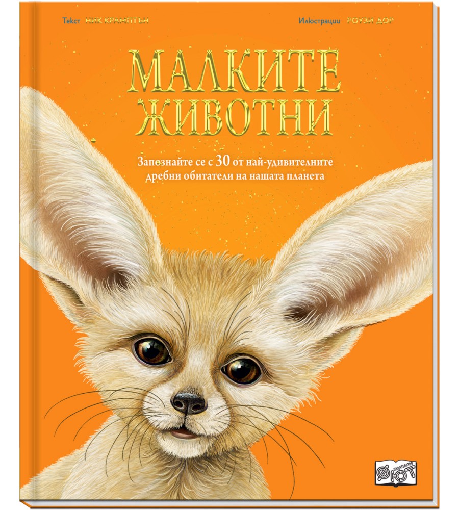 ������� ������� - ��� �������� - ������ �����