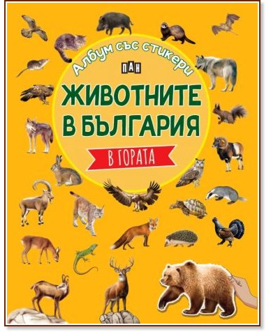 ��������� � ��������: � ������ - �������� ���������� - ������ �����