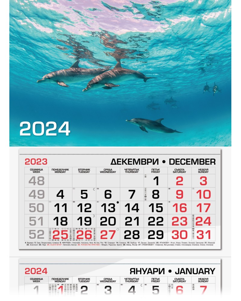   -  2024 - 