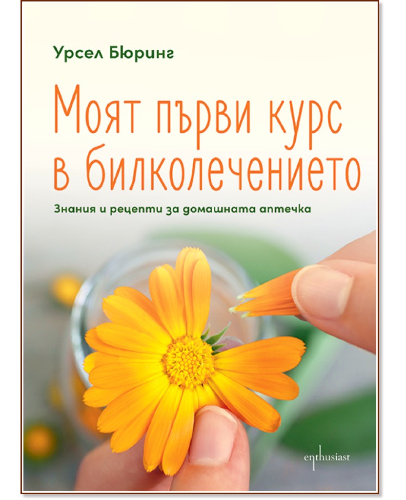 ���� ����� ���� � �������������� - ����� ������ - �����