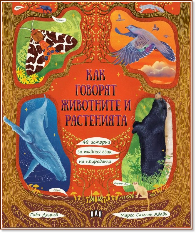 ��� ������� ��������� � ���������� - ���� ������ - ������ �����