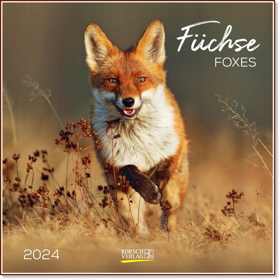   - Fuchse. Foxes 2024 - 