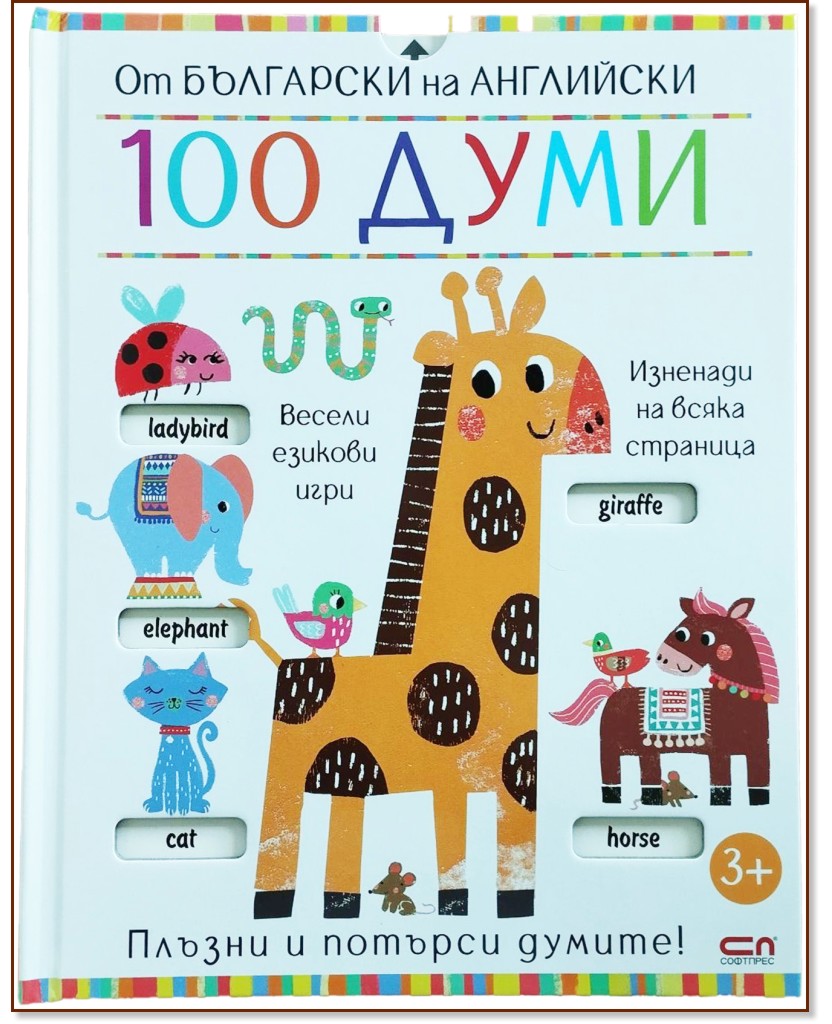    : 100  -  