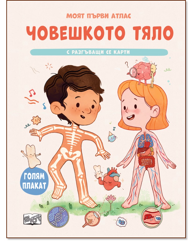 ���� ����� �����: ��������� ���� - ������ �����