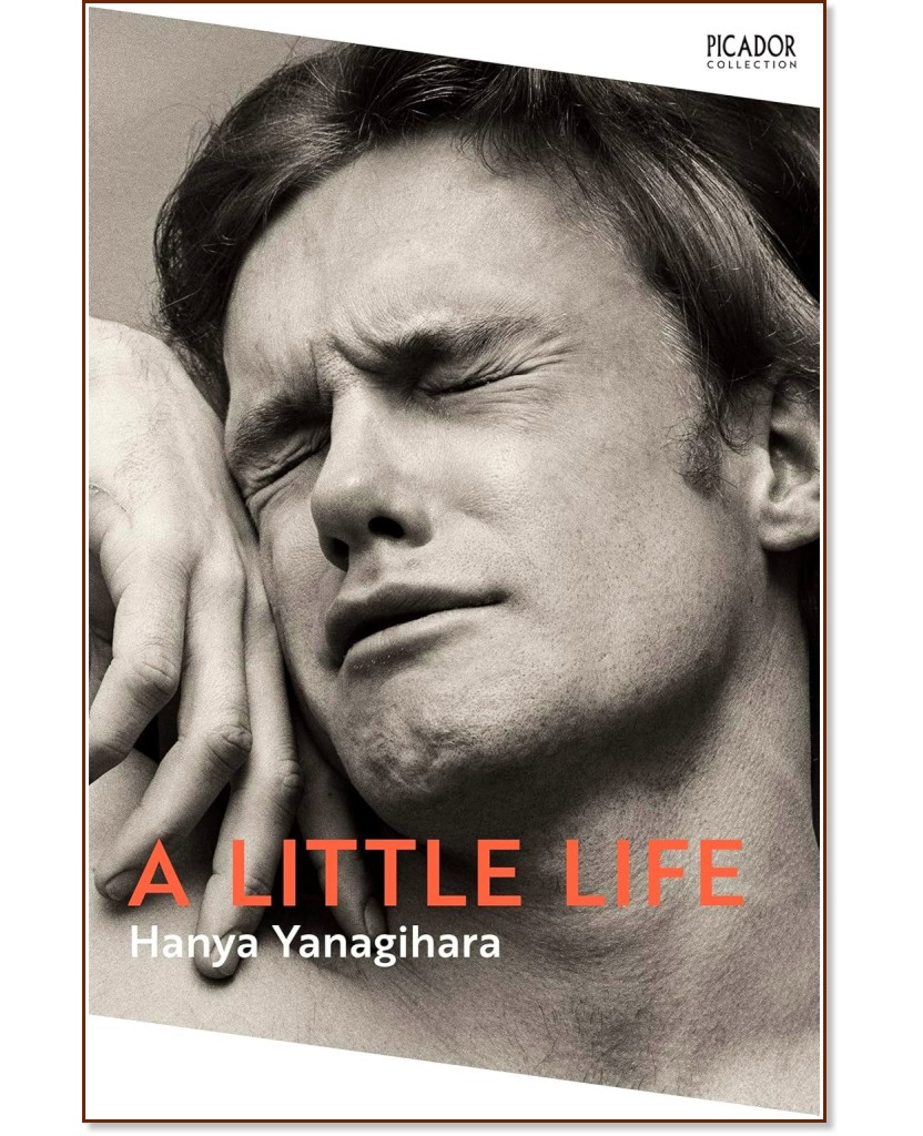 A Little Life - Hanya Yanagihara - 