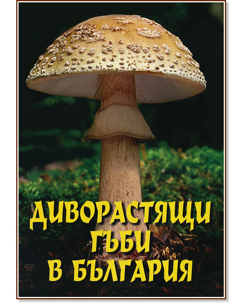Диворастящи гъби в България - Иван Тошев - книга