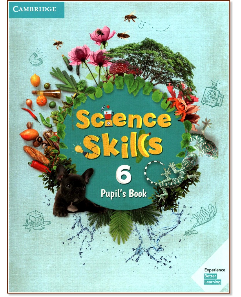 Science Skills -  6:  :      - 