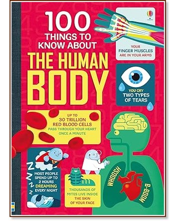 100 Things to Know About the Human Body - Alex Frith, Minna Lacey, Matthew Oldham, Jonathan Melmoth -  
