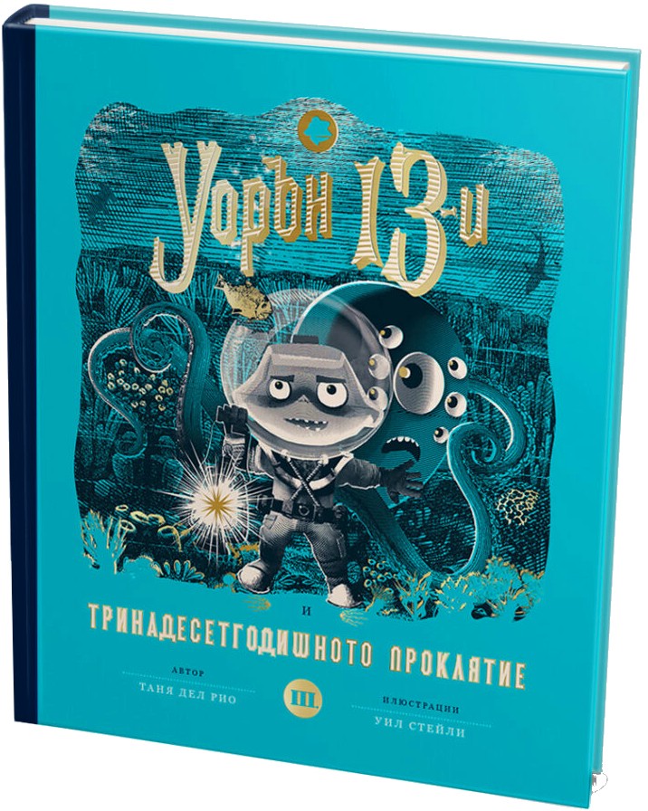  13-    -    -  