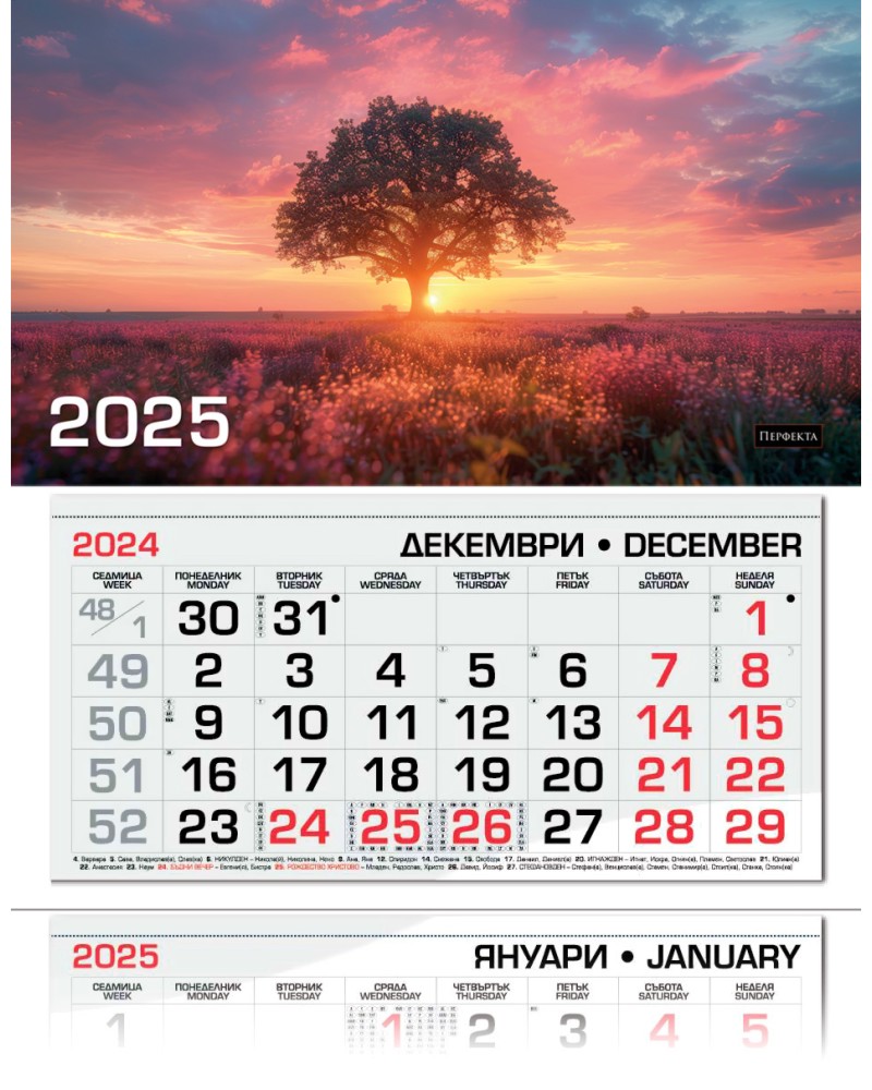   -  2025 - 