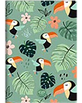   :  A5    - 60    Toucans - 