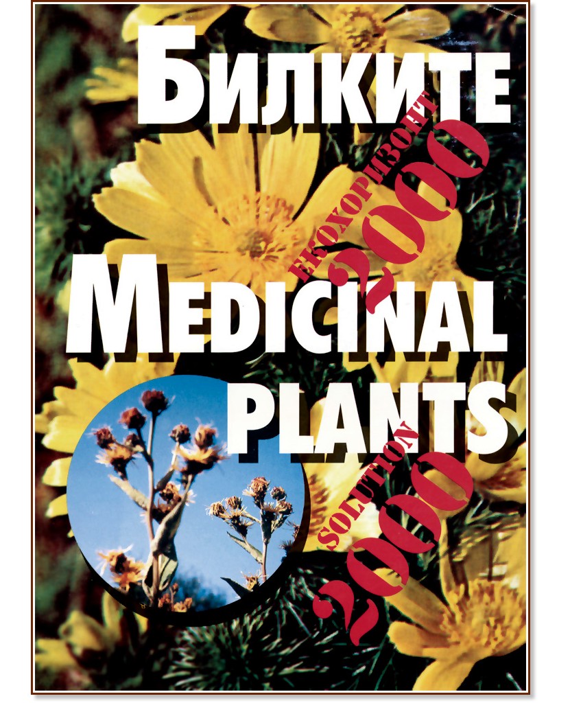 ������� - �����