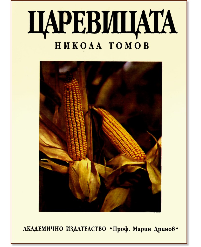 ���������� - ������ ����� - �����