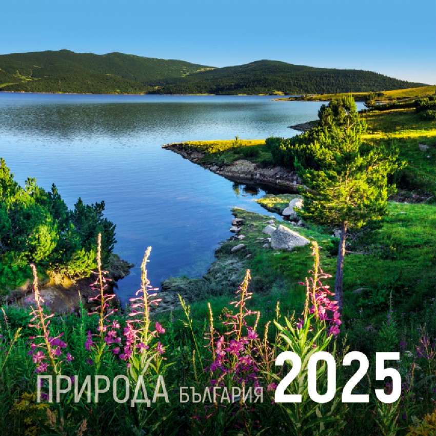   -    2025 - 