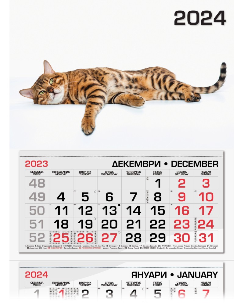 ������������ �������� - ��������� ����� 2024 - ��������