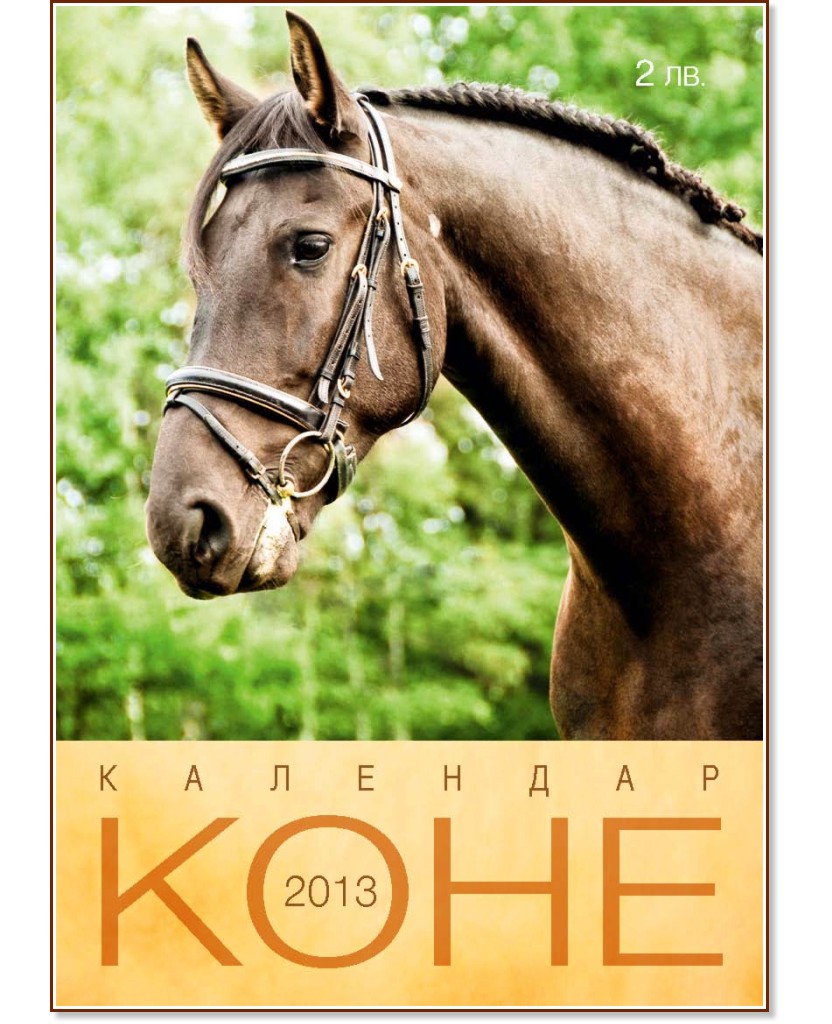 ������ �������� - ���� 2013 - ��������