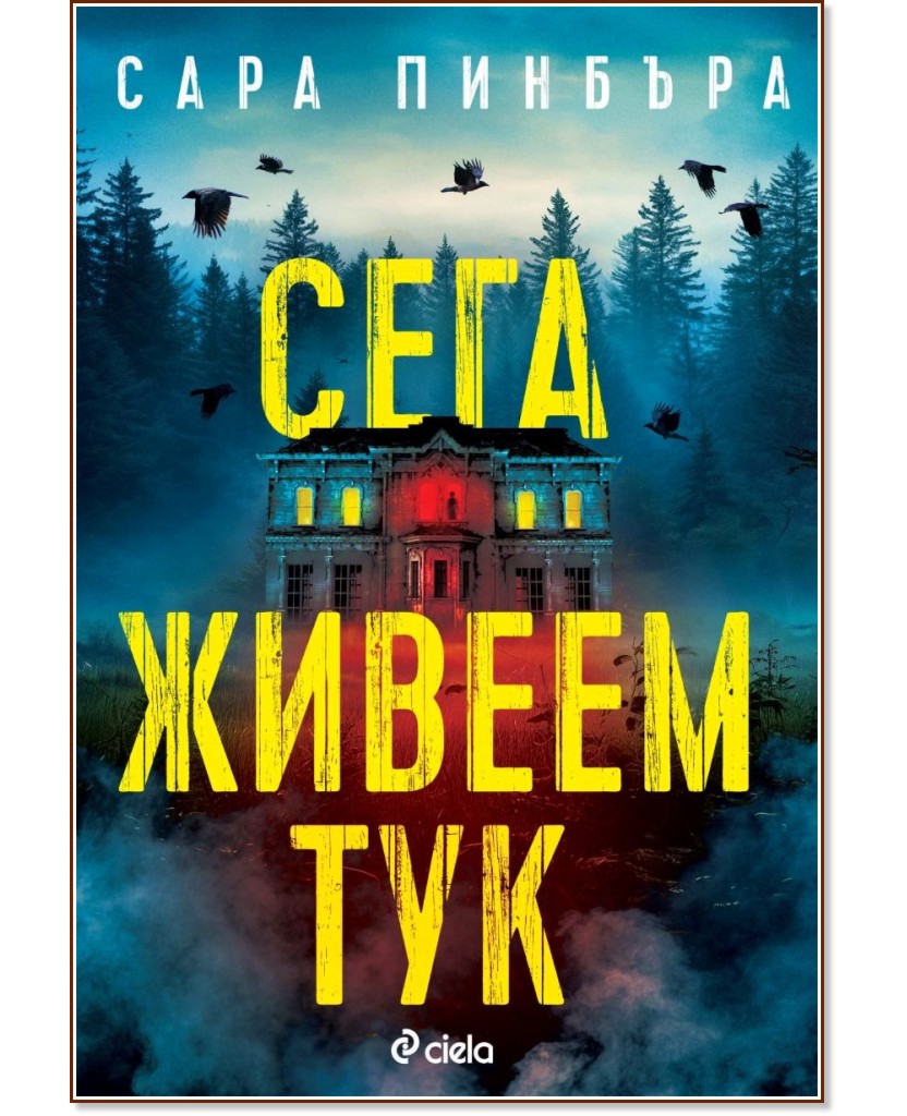 ���� ������ ��� - ���� ������� - �����