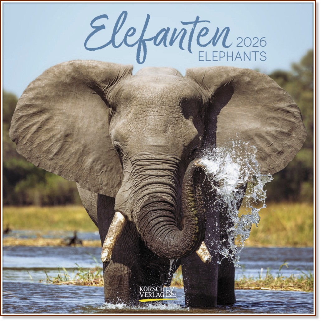   - Elephants 2026 - 