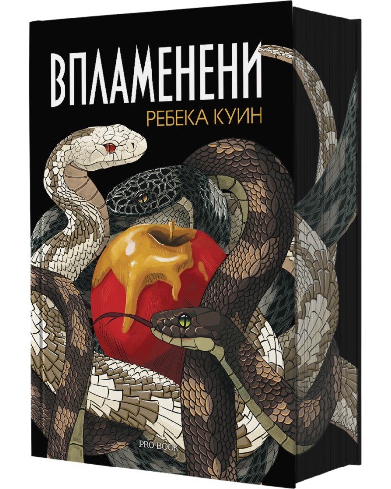 ���������� - ������ ���� - �����