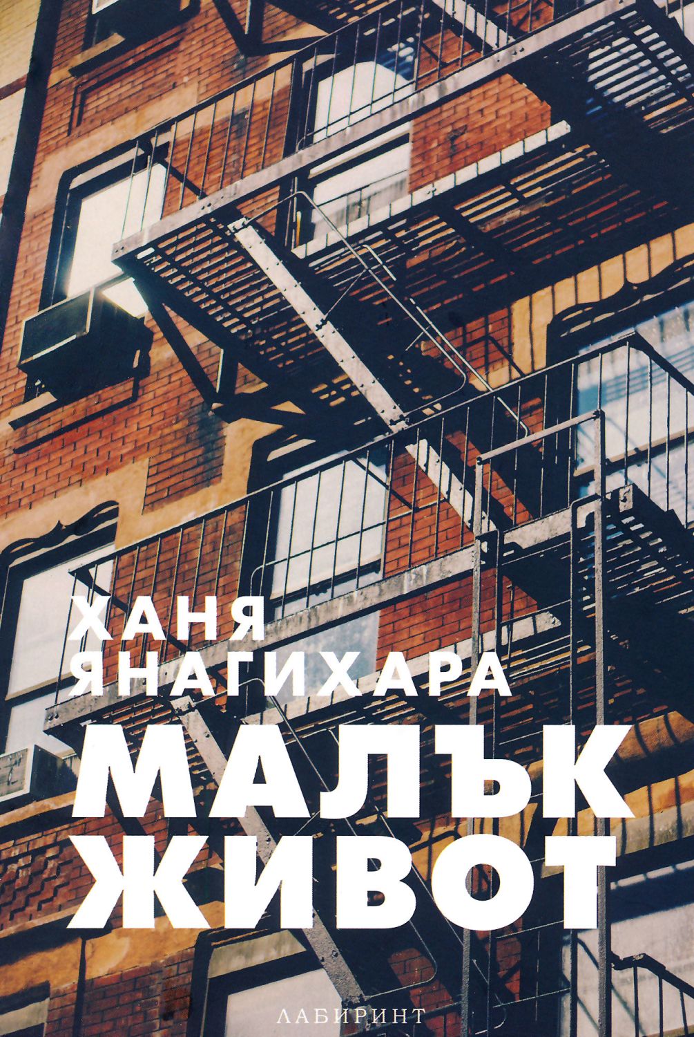 Малък живот - Ханя Янагихара - книга - store.bg