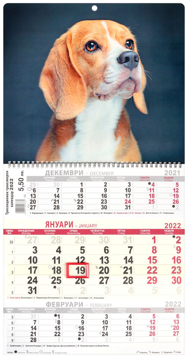 3D Трисекционен работен календар 2022 - Куче - store.bg