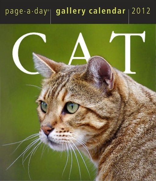 Cat PageADay Gallery Calendar 2012 календар store.bg