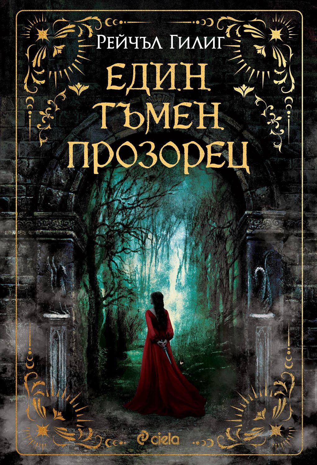Един тъмен прозорец - Рейчъл Гилиг - книга - store.bg
