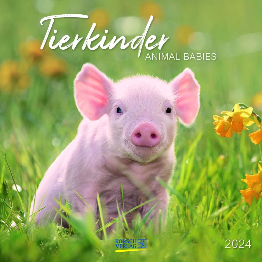 Календар с бебета животни 2024 - store.bg