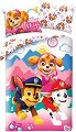     2  Paw Patrol Skye and Friends - 