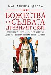 �������� �� �������: �������� ���� - ��� ������������ - �����