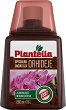     Plantella