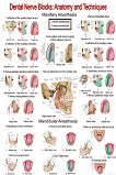 Dental Nerve Blocks: Anatomy & Techniques - 50 x 70 cm - 