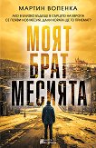 Моят брат месията - Мартин Вопенка - книга