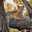 ������ �������� - Big Cats 2027 - ��������