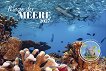 ������ �������� - Magic of the Seas 2027 - ��������