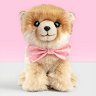     - Studio Pets -   23 cm - 