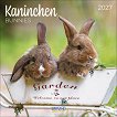 Стенен календар - Bunnies 2027 - календар